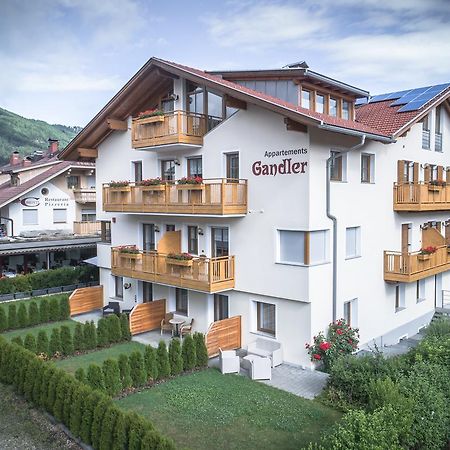 Appartement Gandler Olang ภายนอก รูปภาพ